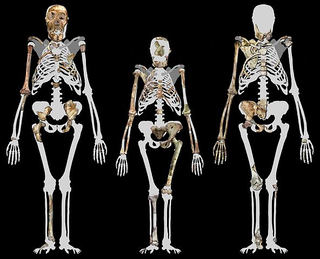 Illustration for article titled If We Cloned Early Humans, Should We Put Them in a Zoo or a School?